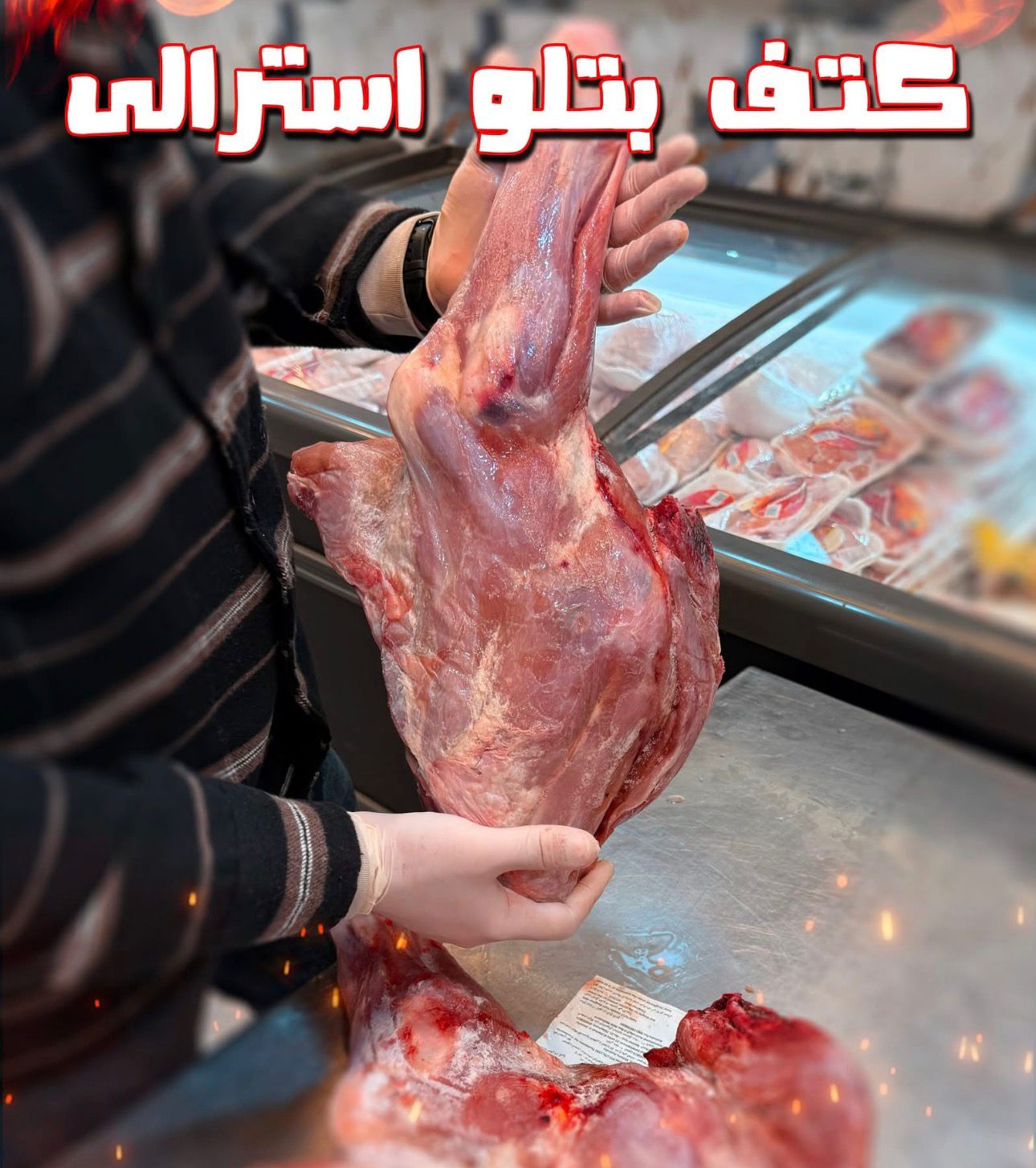01KR7M6313XQ3VEGQD7EPVGH8Q